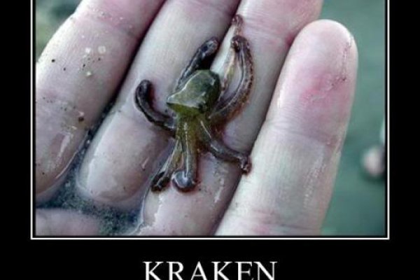 Kraken сайт kraken clear com