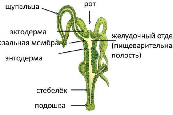 Официальные зеркала кракен