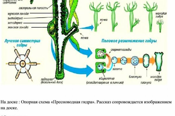 Kraken официальная ссылка tor