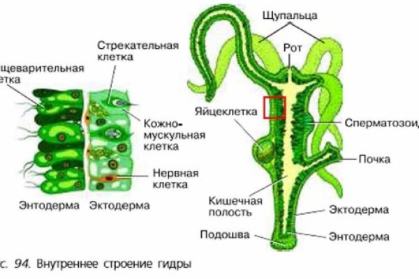 Взломали аккаунт кракен